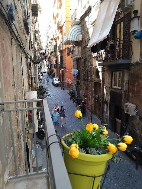 La Conchiglia Napoli Apartment 0*, Naples Italy